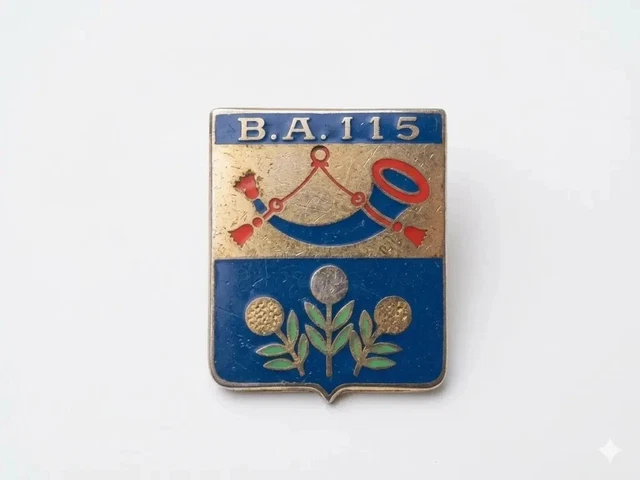 Insigne Escadron De Protection 42-101 Toulouse – LSART – Occasion