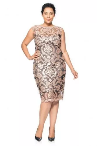 * NWT Tadashi Shoji Pink Illusion Sequin Paillette Embroidered Lace Sheath 16Q