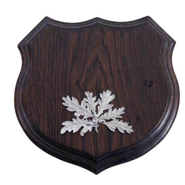 1x Armas Jabalí Escudo de Trofeo Af 17cm Hoja de Roble Portada Color Plata