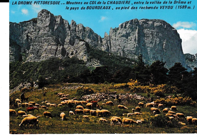 Cpsm Images Of The Drome Sheep At The Neck Of The Boiler