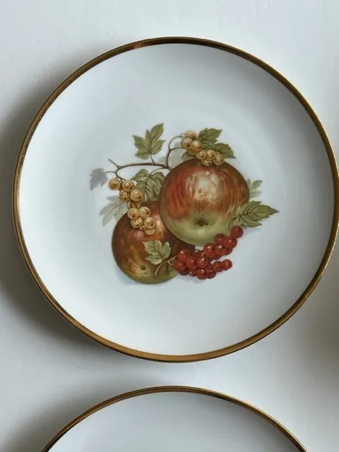 Set of 8 Vintage Bareuther Waldsassen Bavaria-W Germany 8” Fruit Plates  3