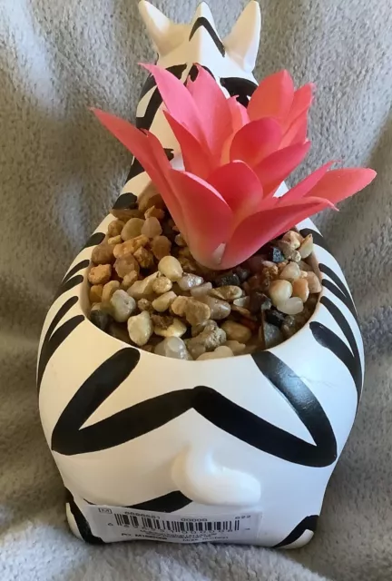 MATALAN - Zebra Small Ceramic Plant Pot & Pink Succulent 9cm - BNWT 2