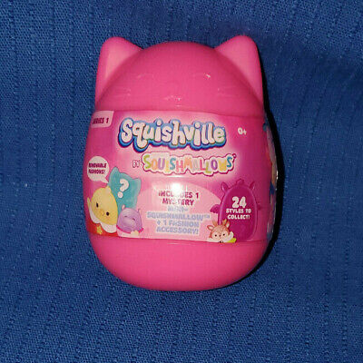 squishmallow blind capsule