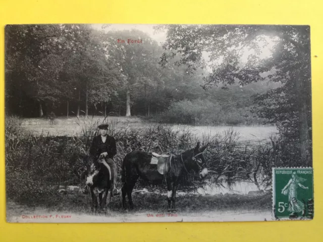 cpa collection FLEURY seal PARK de St CLOUD in FOREST A NICE TRIO DONKEY