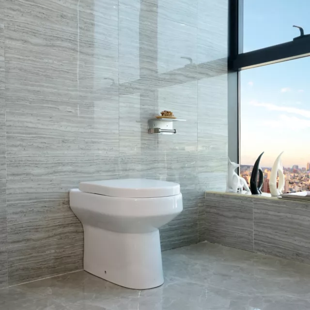 Bathroom BTW Toilet White Ceramic Soft Close  Easy To Clean Back To Wall Modern