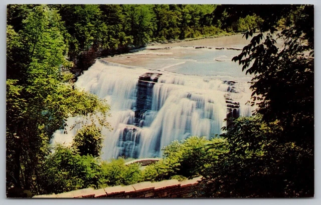 Letchworth State Park Castile New York Genesee River Gorge Chrome Postcard