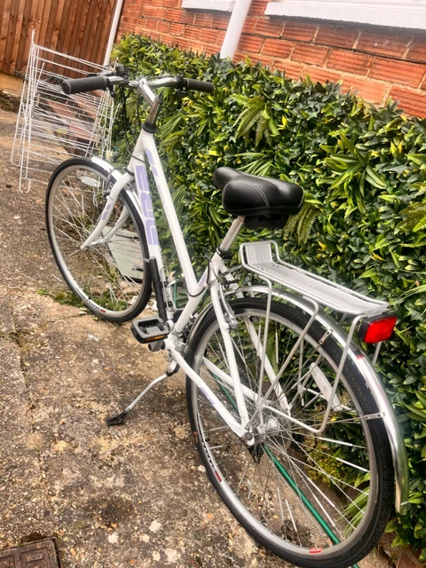 Raleigh diamondback outlet