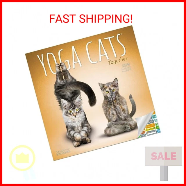 YOGA CATS TOGETHER Calendar 2024 Deluxe 2024 Yoga Cats Wall Calendar