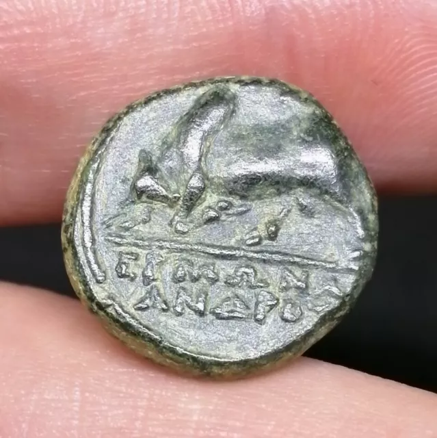 Ancient Greece Ionia Magnesia Ad Maeander AE Coin Bull And Horseman 350-200 BC