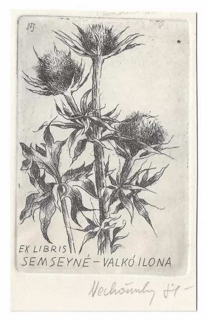 JOZSEF NECHANSKY: Exlibris für Ilona Semsey, Distel, 1981