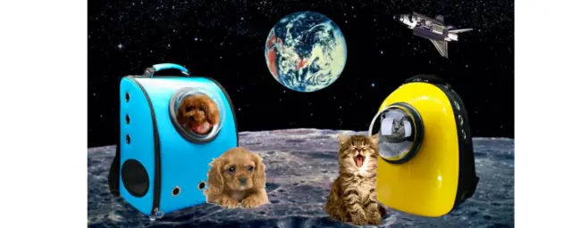 Rocket Pet Astronaut Capsule Pet Backpack Breathable Dog Cat Carrier Travel Bag