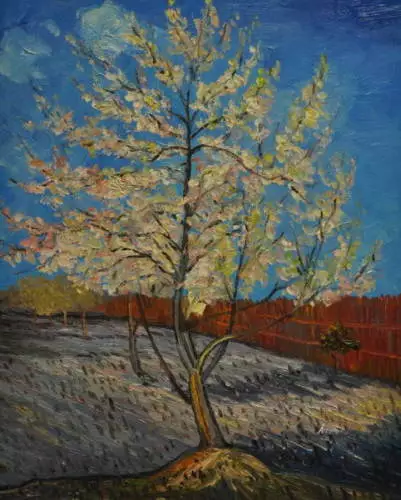Quadro Notte stellata sulla Rhona di Van Gogh, falso d'autore