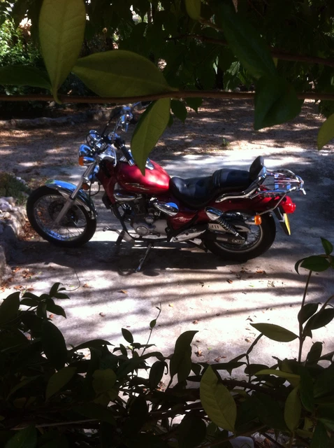 moto kymco
