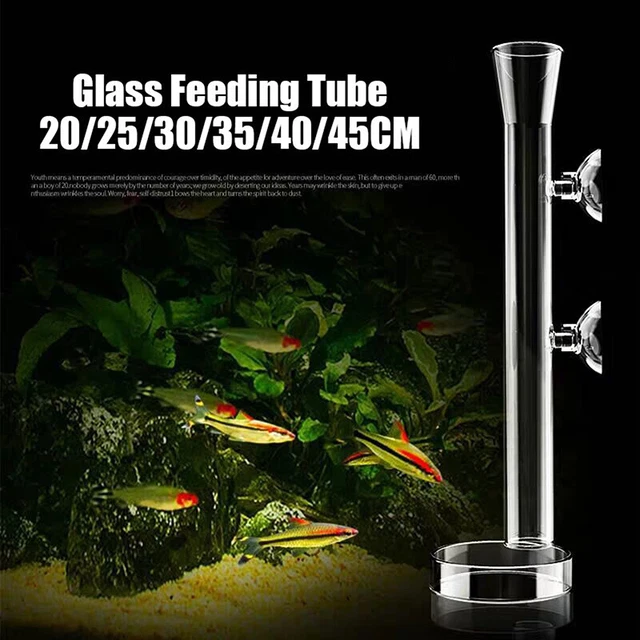 Glass Shrimp Feeding Food Tube Suction Dish Feeder Food Tray Aquarium Fish Tank