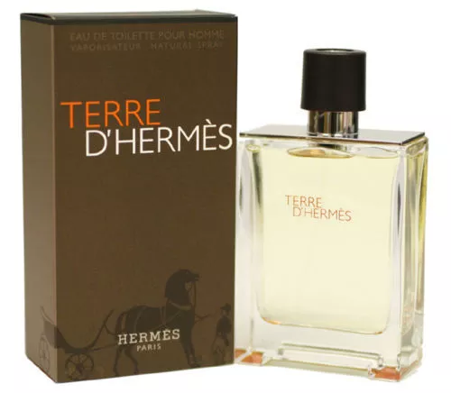 HERMES TERRE D'HERMES EDT VAPO NATURAL SPRAY - 100 ml