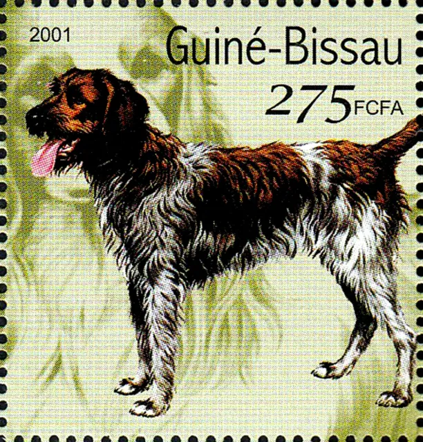 Guinea Mint MNH Animal Dog Pet Hunting Dog Wildlife Fauna Nature / 1193