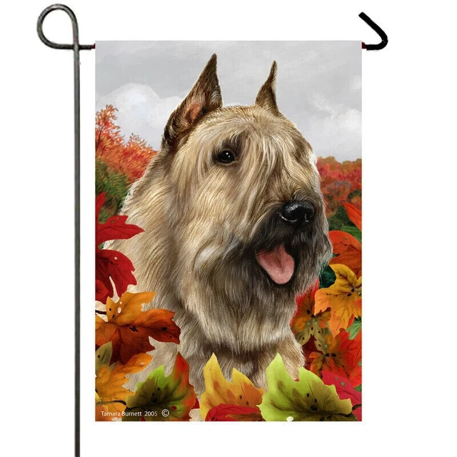 Fall Garden Flag (TB) - Fawn Bouvier des Flandres 133031