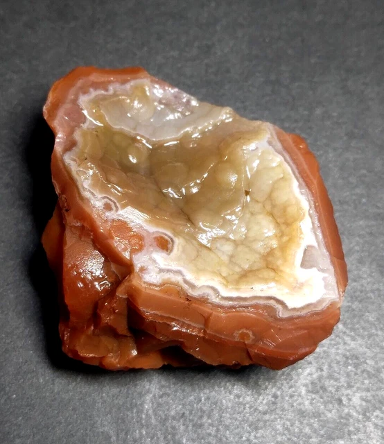 Lake Superior Agate 0.33 oz 'FROGSKIN PEELER' Rough Minnesota Gemstone - upnorth