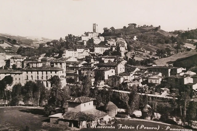 Cartolina - Macerata Feltria ( Pesaro ) - Panorama - 1959