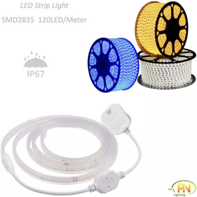 LED Strip Lights 220V 120L/M SMD2835 UK Plug Waterproof Commercial Tape Light 2