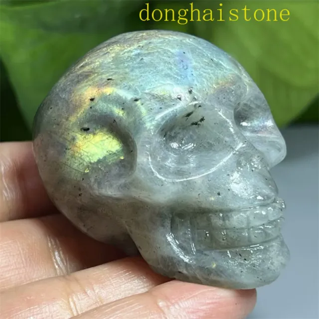 2" Natural labradorite Hand carved skull Quartz Crystal Skull reiki healing 1pc