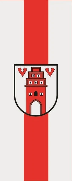 Bandiere Varie Dim. 150 X 250 Cm - Foto 3