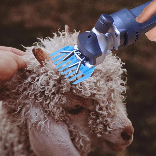 MYOSPARK Portachiavi Pecora Con Scritta 'Just A Girl Who Loves Sheep' – Regalo Per Allevatori E Amanti Delle Pecore