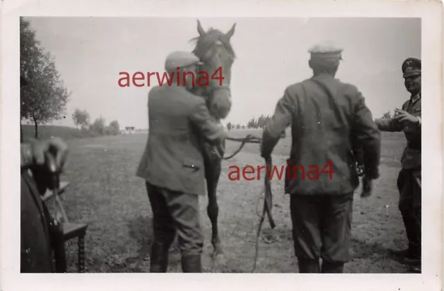 Poland with German officers at horse patterning Wollstein poses