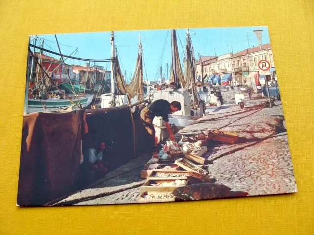 (FG.C30) CESENATICO - PORTO CANALE animata, pescatori (vg viaggiata)