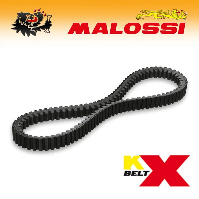 Groupe Thermique Malossi 560cc D.70 Pour Yamaha TMAX 500 (2008-2011)