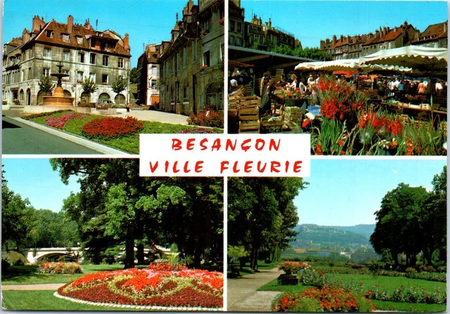 25 BESANCON - Carte souvenir multivues