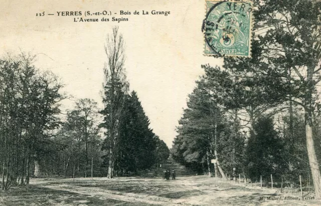 Carte YERRES Bois de la Grange L'Avenue des Sapins