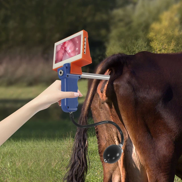 For Cows Cattle Artificial Visual Insemination Gun Kit With Adjustable Hd Screen