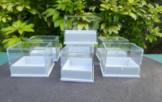 50 Perspex Clear Lid Specimen Crystal Boxes 41 x 35 x 30mm Black Or White Bases