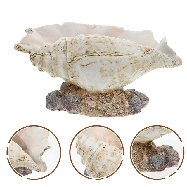 1pc Conch Blumentopf Conch Sukkulenten Topf Conch Shell Figurine 5