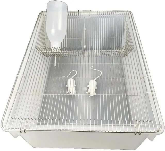 Mice Cage, Rat Cage & Hamster Cages (Lab Animal Cage Polypropylene) Unbreakable