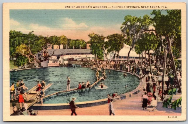 Vtg Tampa Florida FL Sulphur Springs Pool View 1930s Linen Unused Postcard
