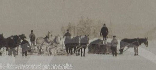 Arctic Exploration Team Horse Drawn Sleighs Antique Occupational Photo on Board