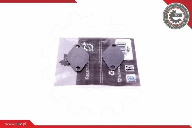 Kit riparazione valvola agr