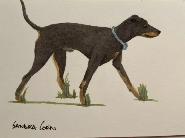 Manchester Terrier Original Watercolor by  Sandra Coen Trotting