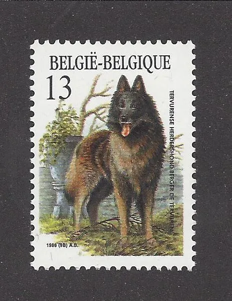 Dog Art Full Body Study Portrait Postage Stamp BELGIAN TERVUREN Belgium 1986 MNH