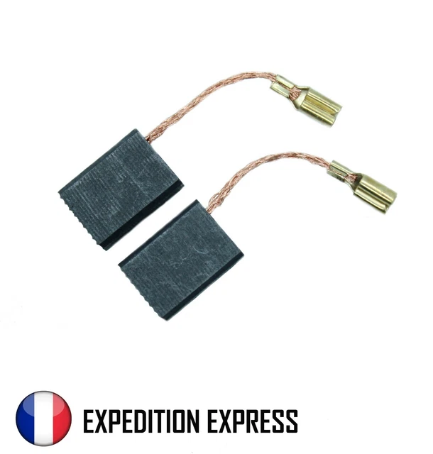 Ne pas aimer Accentuation vice versa charbon balais moteur électrique Comprimé w