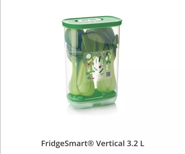 Tupperware VERTICAL FridgeSmart container New