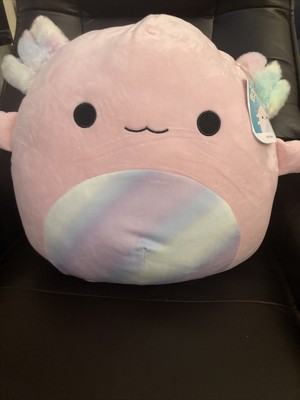 pink axolotl squish mellow pink axolotl squish mellow