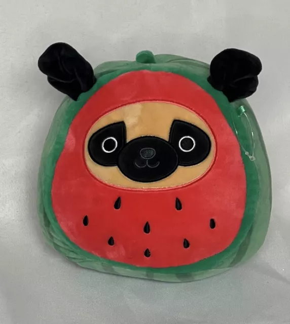 Squishmallows 7” PRINCE in watermelon costume the brown Pug dog NWT