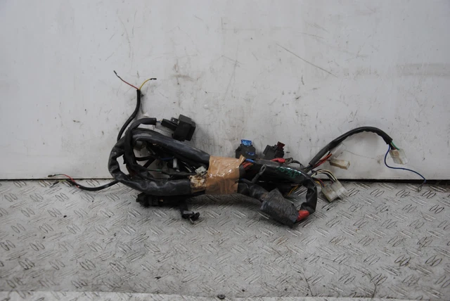 67428 Cablaggio impianto Elettrico Aprilia Scarabeo 50 2T Dal 2018 Al 2022