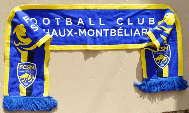 Sochaux : le FCSM reste au stade Bonal