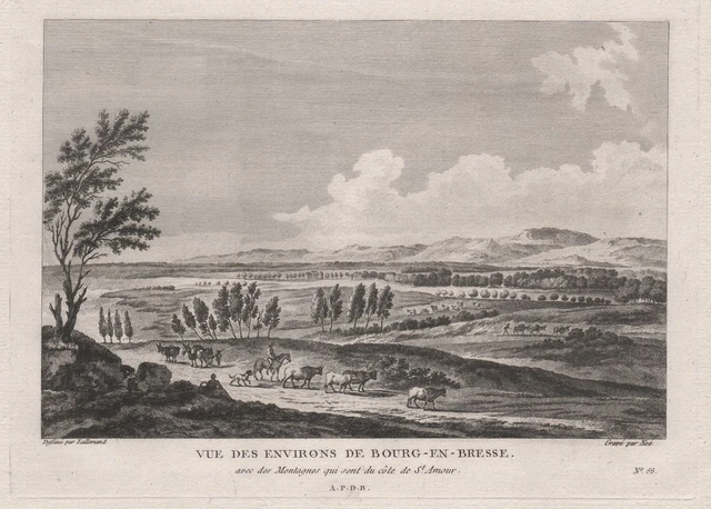 Bourg-en-Bresse environ Ain Auvergne vue estampe gravure engraving Kupfer 196260
