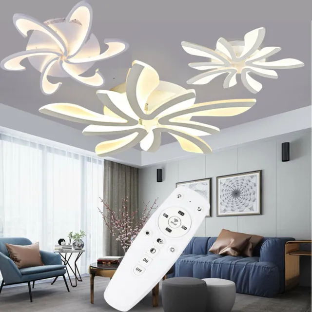 Modern Elegant Acrylic LED Ceiling Light Living Room Bedroom Home Ceiling Lamp