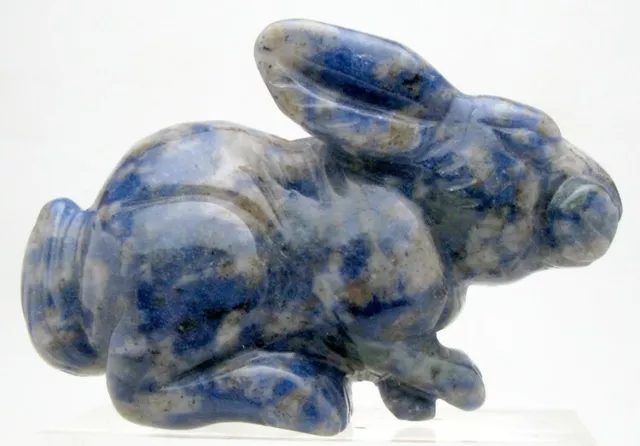 RABBIT BUNNY SODALITE LAPIS Animal Carving Figurine Gemstone Crystal Healing 2